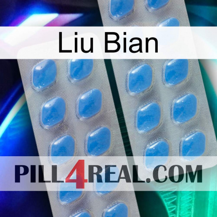 Liu Bian 23